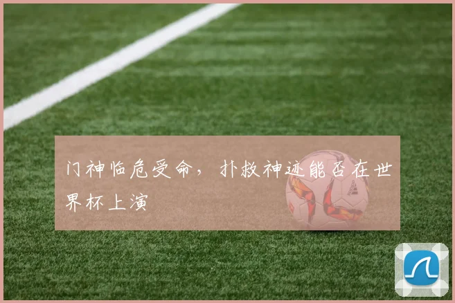 门神临危受命,扑救神迹能否在世界杯上演
