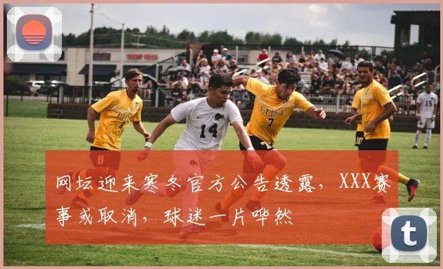 网坛迎来寒冬官方公告透露,XXX赛事或取消,球迷一片哗然
